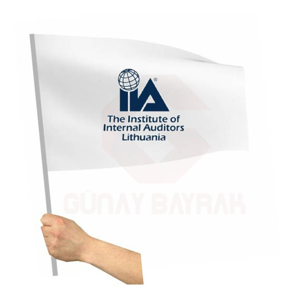 The Institute Of Internal Auditors Sopal Bayrak