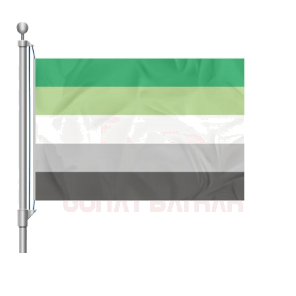 Aromantic Pride Bayra��