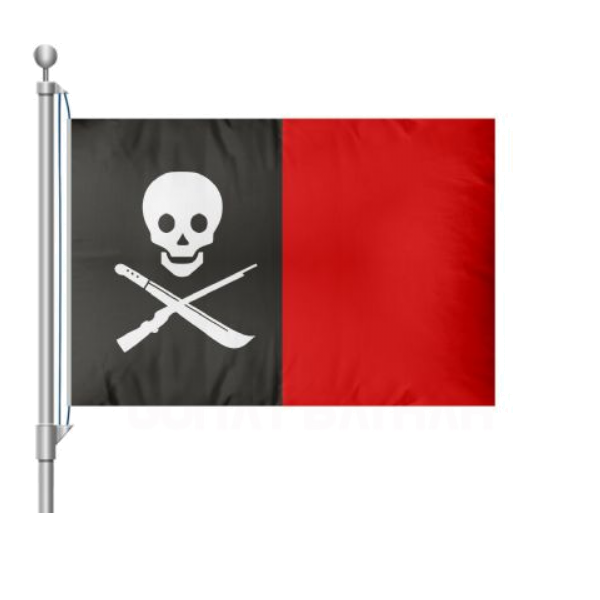Bandera Sandinista 2 Bayrağı