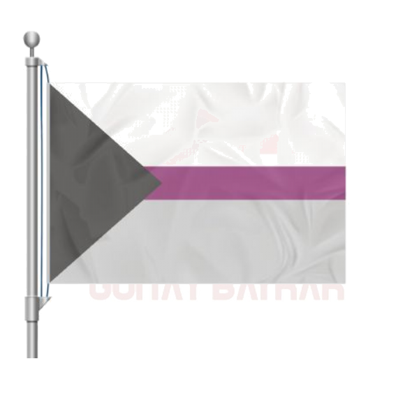 Demisexual Pride Bayra��