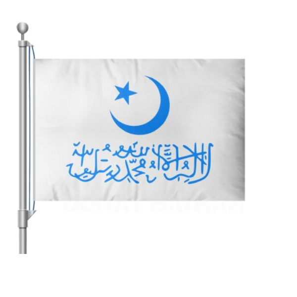 Doğu Türkistan İslam Cumhuriyeti Bayrağı