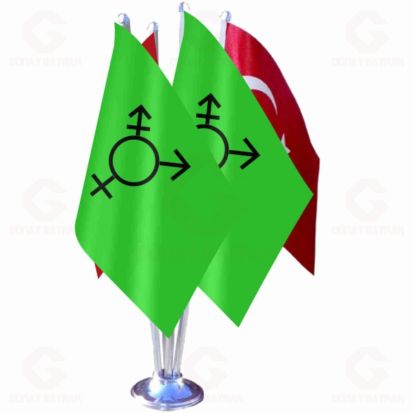 Israeli Transgender D�rtl� Masa Bayra��