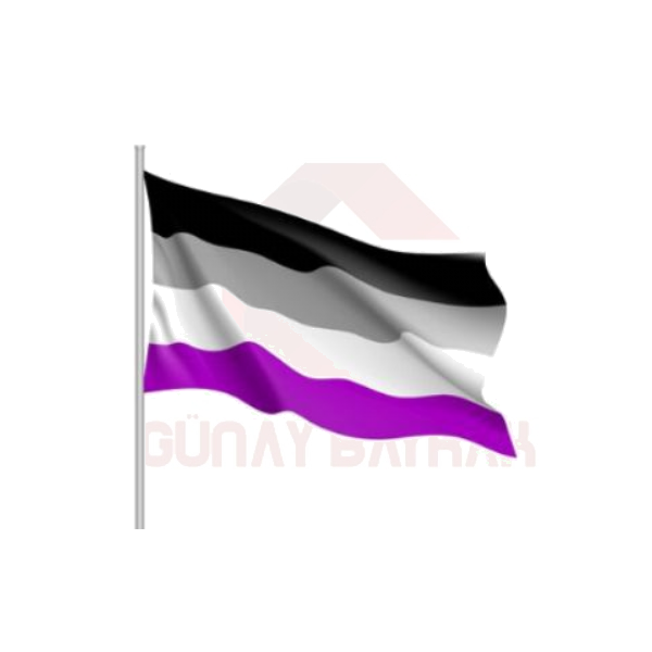 Lgbt Aseksüellik Bayrağı