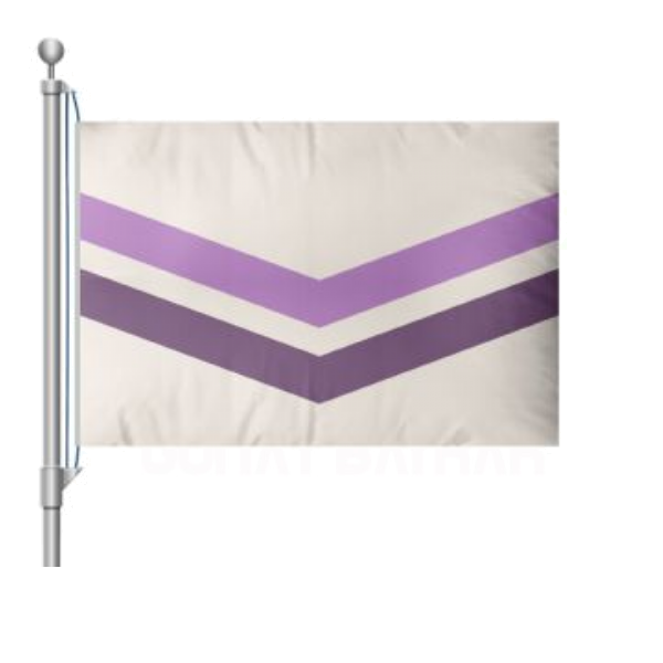 Lgbt Queer Chevron Bayra��
