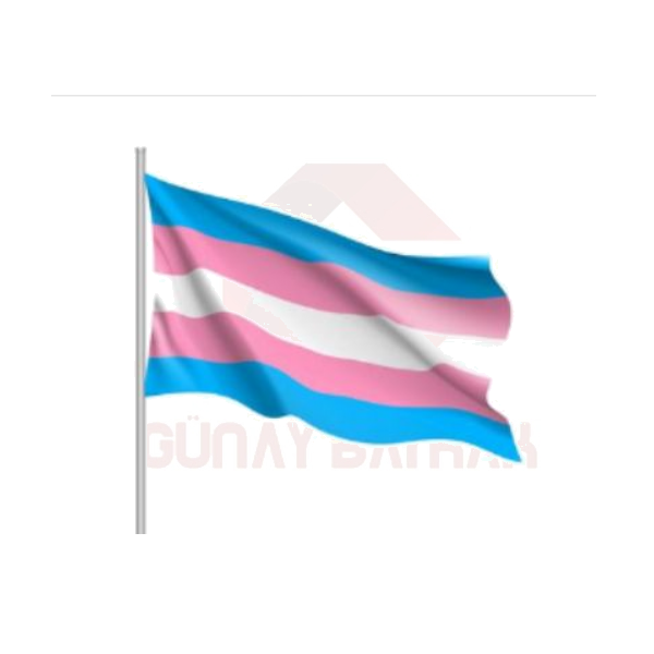Lgbt Transeksüel Bayrağı