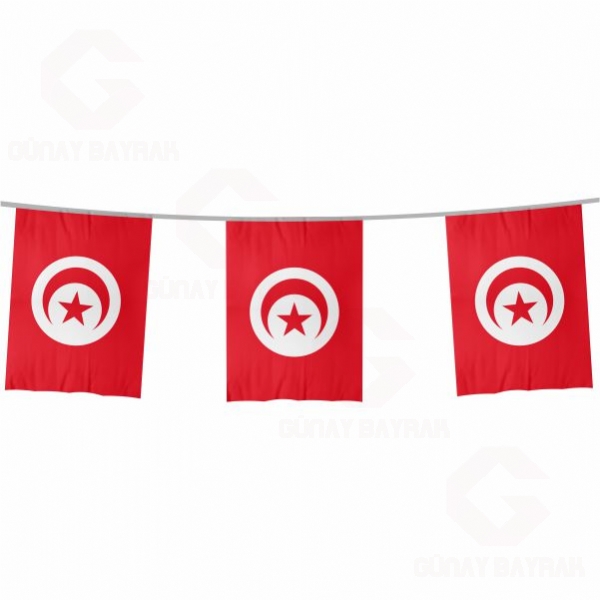 Tunus pe Dizili Kare Bayraklar