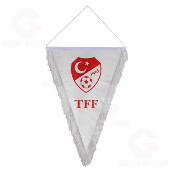 T�rkiye Futbol Federasyonu ��gen Sa�akl� Flamalar