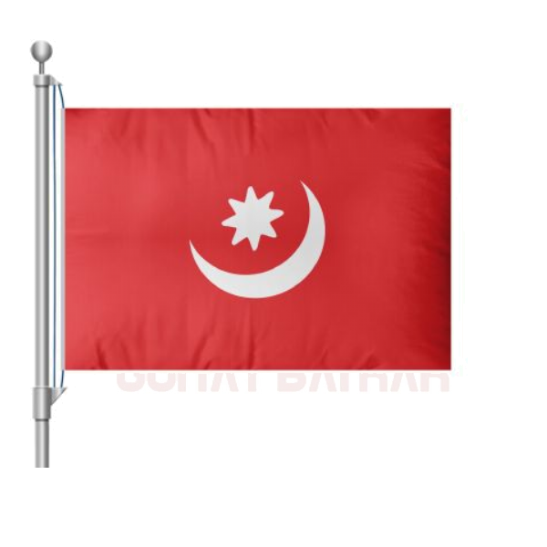 Yedişehir Uygur Hanlıgı 1873 1877 Bayrağı