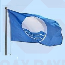 Blue Flag Bayrağı